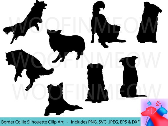 chien BORDER COLLIE STICKER BRODERIE