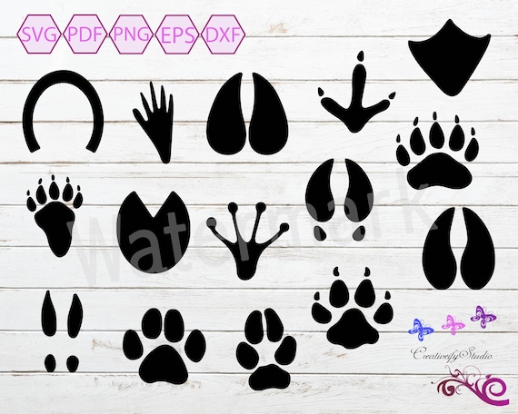 Download Animal Footprint Tracks Svg Clipart Paw Prints Dog Bear Etsy