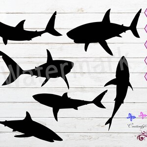 Shark SVG Silhouette Clipart, Fish Cut File, Car Window Decal, Child T-Shirt, Shark Cricut, Shark Wall Decal, Shark Vector, Digital Download