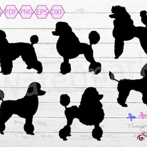 Poodle SVG Silhouette Clipart, Dog Lover Clipart, Dog Breed, Dog Vector, Standard Poodle, Toy Poodle Dog, Commercial Use, Digital Download