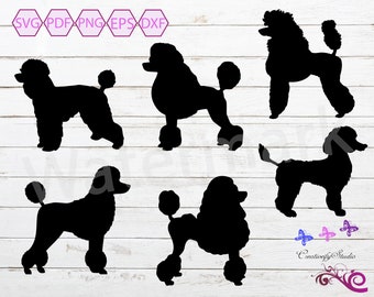 Poodle SVG Silhouette Clipart, Dog Lover Clipart, Dog Breed, Dog Vector, Standard Poodle, Toy Poodle Dog, Commercial Use, Digital Download