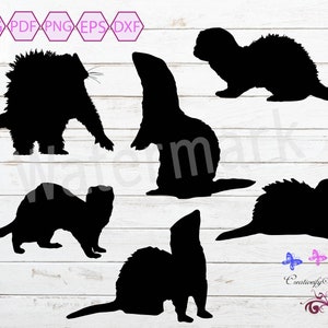 Ferret SVG, Ferret Silhouette, Ferret Clipart, Ferret Vector Cut File, Ferret Clip Art, Weasel Clipart SVG, Ferret Decal, Digital Download