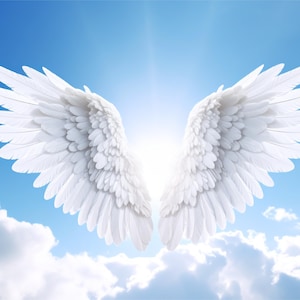 May include: A pair of large, white angel wings against a bright blue sky with fluffy white clouds. The wings are detailed with individual feathers, radiating from a central point of light.