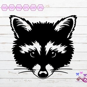 Raccoon SVG Silhouette Clipart, Wildlife Animal, Raccoon Face, Nocturnal Mammal, Kids Shirt, Cricut File, Garbage Hunter, Digital Download