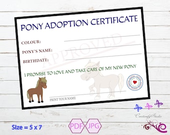 Pony Adoption Certificate, Adopt An Animal, Adopt A Pet, Printable Certificate, DIY Printable, Birthday Party, Digital Download