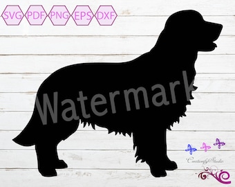 Golden Retriever SVG, Dog Clipart, Golden Retriever Silhouette, Dog Silhouette, Dog Lover SVG, Commercial Use, Digital Download