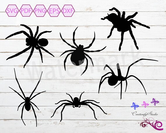 Black Spider SVG Clipart, Spider Vector Image, Creepy Spider, Tarantula Hairy Spider, Crawling Spider, Spider Silhouette, Digital Download