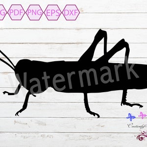 Grasshopper SVG Clipart, Insect SVG, Grasshopper Image, Bug Clipart, Wall Decor, Child's Shirt, Green Bug, Cricut Cut File, Digital Download
