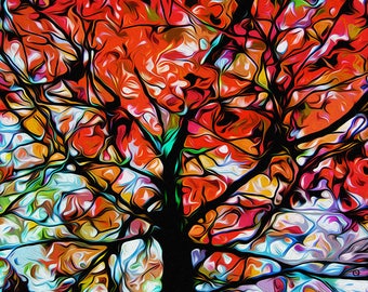 Out On A Limb