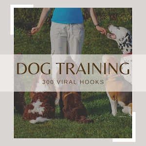 Puede incluir: Una mujer entrena a varios perros en un campo de hierba. Los perros están sentados y mirando a la mujer. El texto "DOG TRAINING 300 VIRAL HOOKS" está en una pancarta blanca.