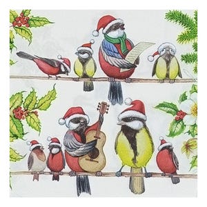Tovaglioli di carta per decoupage, tecniche miste, journaling, creazione di biglietti, scrapbooking, collage, carta velina, Natale, uccelli, inverno