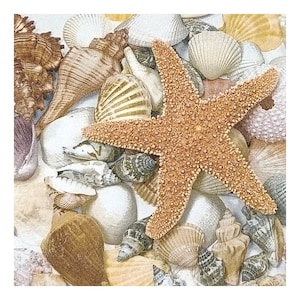 Guardanapo de papel para decoupage, mídia mista, diário, criação de cartões, scrapbooking, colagem, papel de seda artesanal, tema marinho, conchas e estrelas do mar
