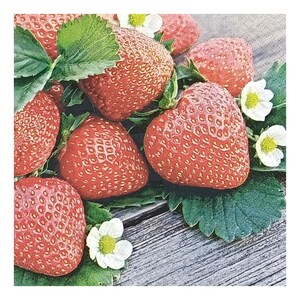 Tovagliolo di carta per decoupage, tecniche miste, journaling, creazione di biglietti, scrapbooking, collage, fazzoletti artigianali, frutta, fragole