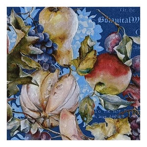 Tovaglioli di carta per decoupage, tecniche miste, journaling, creazione di biglietti, scrapbooking, collage, carta velina, frutta, mela, pera, prugna, melone