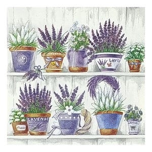 May include: A white shelf with two tiers holds a collection of potted lavender plants. The pots are decorated with floral patterns and the words "Lavender" and "Flower".