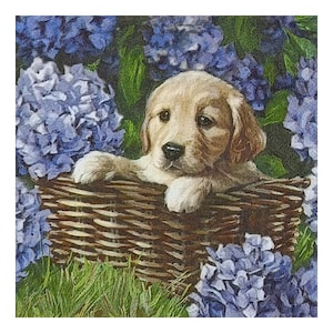 Serwetka papierowa do decoupage, techniki mieszane, dziennikarstwa, tworzenia kartek, scrapbookingu, kolażu, papieru rzemieślniczego, zwierząt, psa, kwiatów, koszyka
