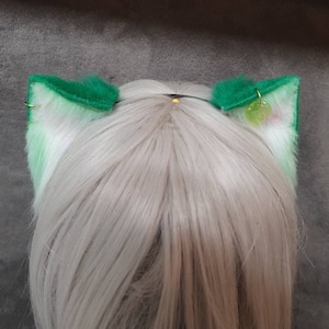Bosgroene en witte kleine kittenoren