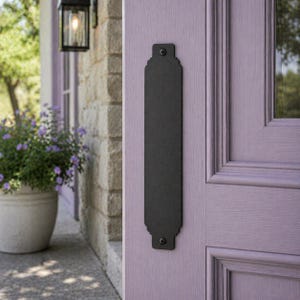 May include: A black metal door pull plate with decorative edges is mounted on a lavender door. The plate is rectangular with rounded ends and is secured with screws. The door is part of a home's exterior.