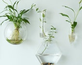 Hexagon Wall Terrariums Indoor Wall Bubble Bowl Cone Wall Hanger Planters Oval Glass Wall Vase TV Wall Decorate Housewarming Gift
