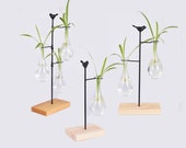 Hanging Glass Vase, Teardrop glass with Wood Set and Metal Bird Holder, Mini Vase Water Plant Holder for Favors Tabletop Decor Office Decor