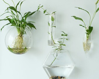 Hexagon Wall Terrariums//Indoor Wall Bubble Bowl //Cone Wall Hanger Planters//Oval Glass Wall Vase//TV Wall Decorate//Housewarming Gift