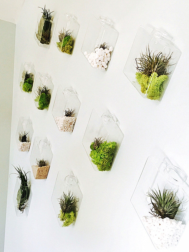 Set Of 10 Rhombus Glass Wall Vase Indoor Planters Diy Image 0