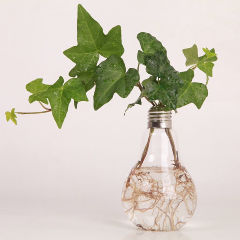 Empty large opening bulb succulent terrariumlightbulb water planting vasedesk decoration home decoration