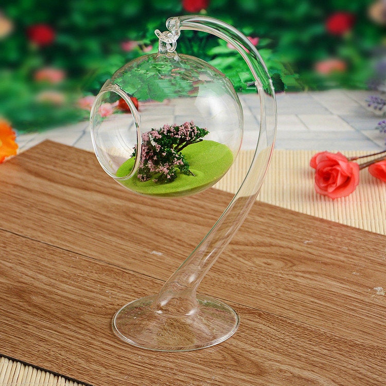 4 glass orb terrarium with a glass hook/air plant Etsy