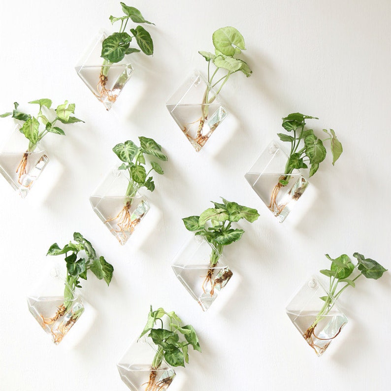 Set Of 9 Rhombus Glass Wall Vase Indoor Plants Planters Image 0