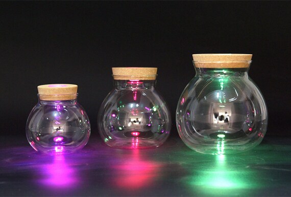 Round Glass Bowl Terrarium With Colorful Led Light Corkmarimo Image 0