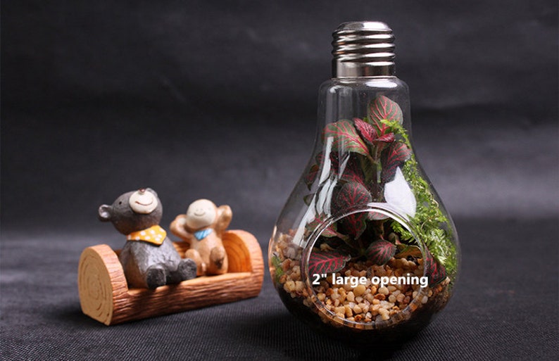 Empty large opening bulb succulent terrariumlightbulb water planting vasedesk decoration home decoration