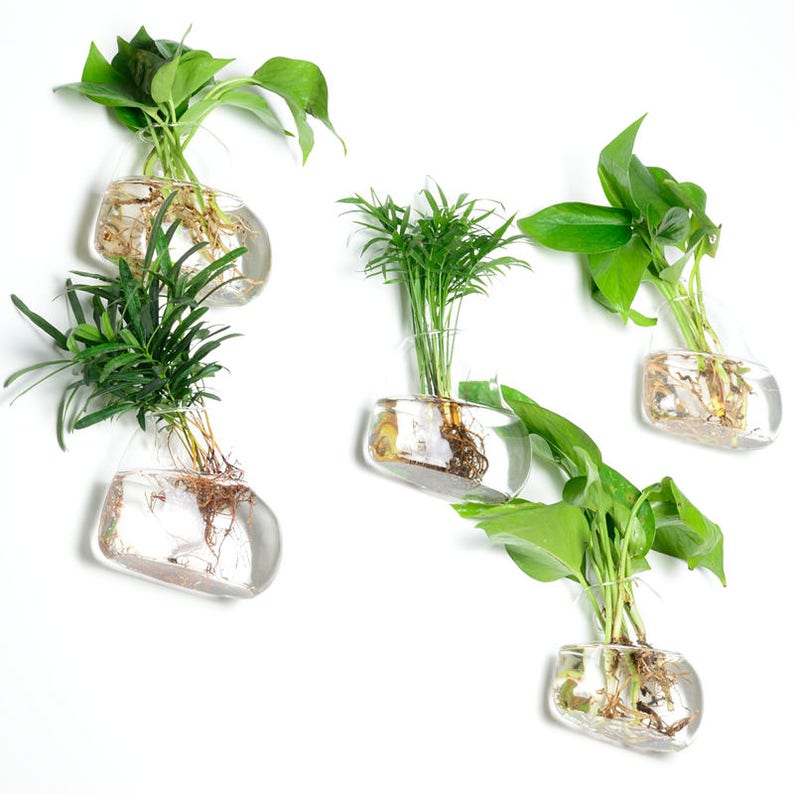 Blown Glass Wall Vase Set Indoor Plants Planter Image 0