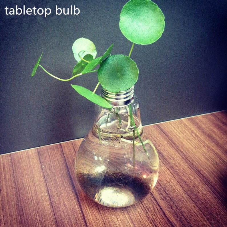 Empty large opening bulb succulent terrariumlightbulb water planting vasedesk decoration home decoration