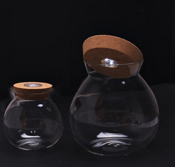 Glass Jar with Lid Globe Terrarium 4/5/6 Inch LED Light Blown Etsy