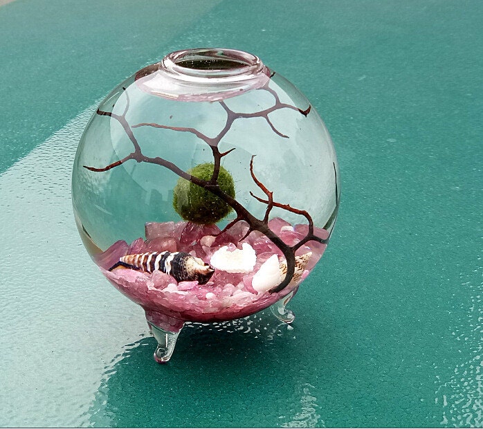 4 Footed Orb Terrarium Kit Tourmaline Aquarium Etsy