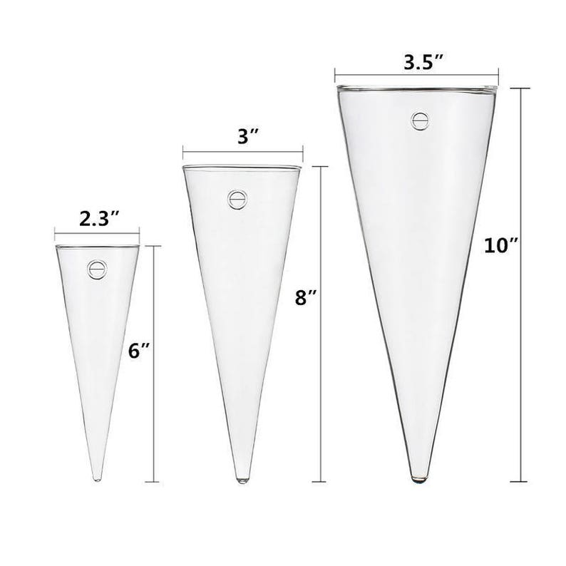 Pack Of 3 Cone Shape Clear Glass Wall Flower Vase For Indoor 50