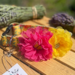 May include: A yellow and pink flower dog collar with a floral print and a tag that reads "Lily & Co. Dog Boutique Everything Grows Better With Love LilyAndCompany.com @LilyAndCompany"