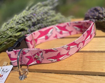 Pink Shark Dog Collar, Pink Sharks, Tropical Dog Collar, Shark Week, Baby Shark Puppy Collar, Pet Collar, Collar For Dogs