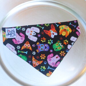 Sugar Skulls Dog bandana, Day of the Dead Bandana for dogs, Colorful Dog Accessories, Pet Accessories, Bandanas, Pet Bandana Colorful image 4