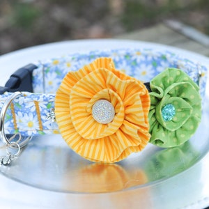 Daisy Fabric Dog Collar with Two Removable Flowers, Dog Collars, Pet Accessories, Adjustable Dog Collar, Floral Print, Spring Dog Collar