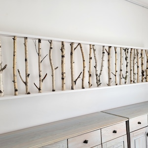 255cm Long White Birch Wall Art Birch Wall display shelf, Framed Birch Art, Modern Rustic Wall Decor, Birch log