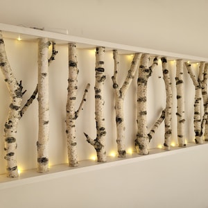 150cm in length 50cm in height White Birch Wall Art, Birch Wall display shelf, Framed Birch Art, Wall Display, Modern Rustic Wall Decor