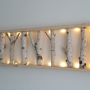 White Birch Wall Art warm white LED string light, Birch Wall display shelf, Framed Birch Art, Natural Log, Modern Rustic Wall and Home Decor