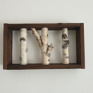White Birch Wall Art, Birch Wall display shelf, Framed Birch Art, 3 Natural Birch Logs, Wall Display, Modern Rustic Wall Decor, Wall Hanger