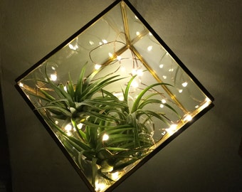 Lightning Bug Lights, Air Plant Terrarium, Glass Terrarium, Terrarium Lights, Firefly Lights, DIY Terrarium, Birthday Gift, Light