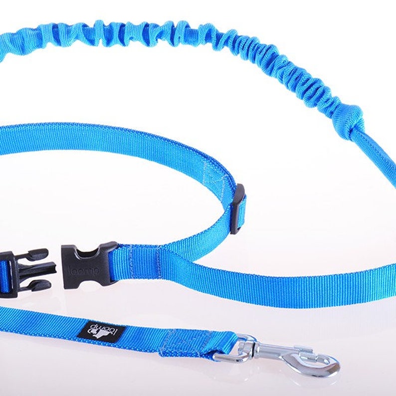 Elastic Dog Lead for Recreation Jogging Leash Running Lead Etsy