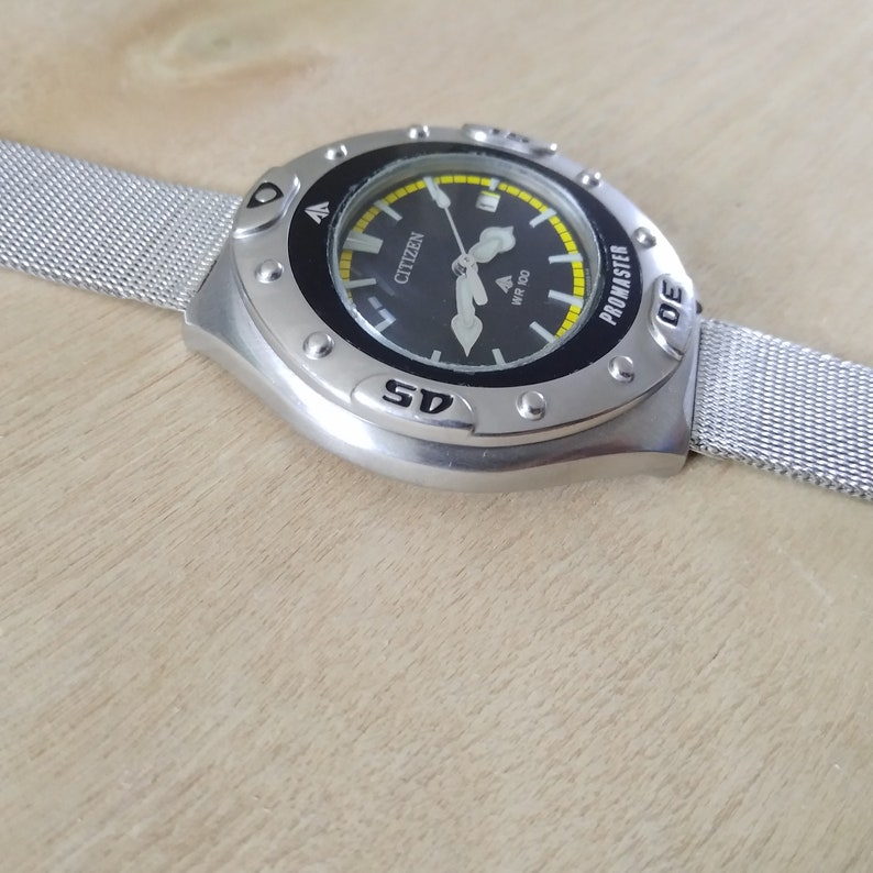 citizen wr100 promaster