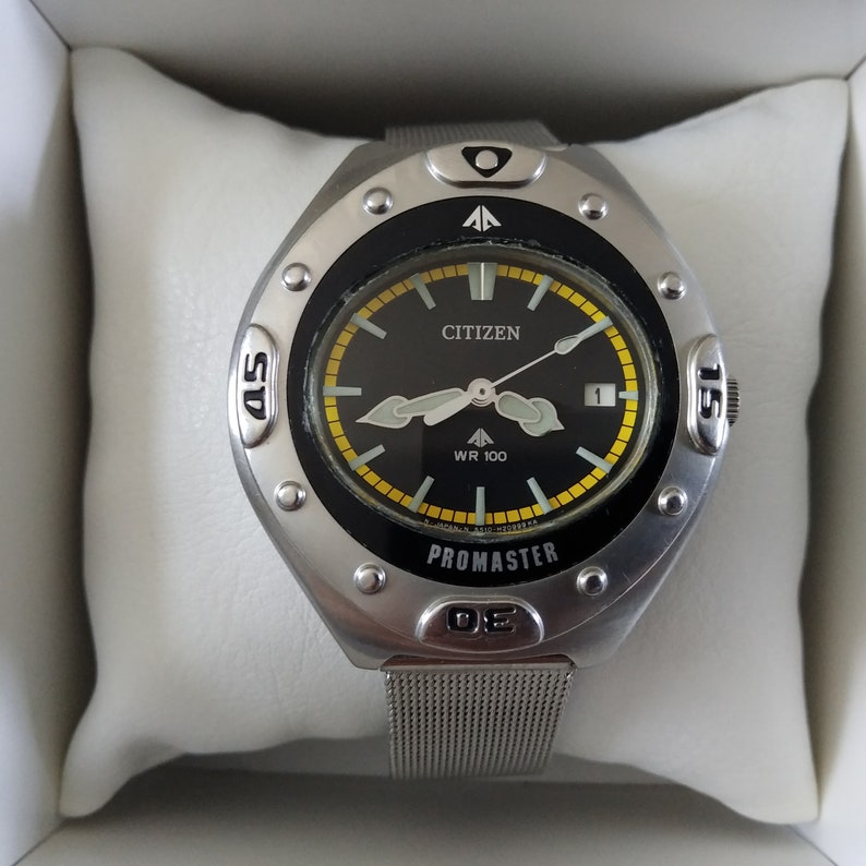 citizen wr100 promaster
