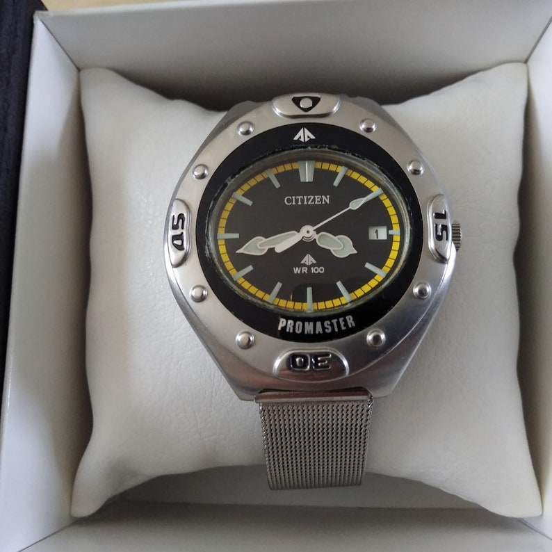 citizen wr100 promaster