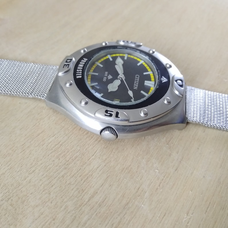 citizen wr100 promaster